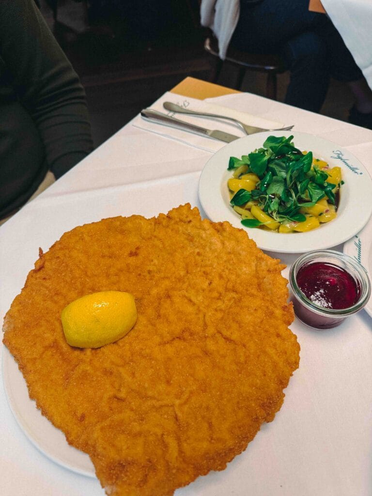 A massive, crispy golden-brown Figlmüller-Schnitzel served with a side of traditional potato salad and a small dish of red lingonberry jam.
