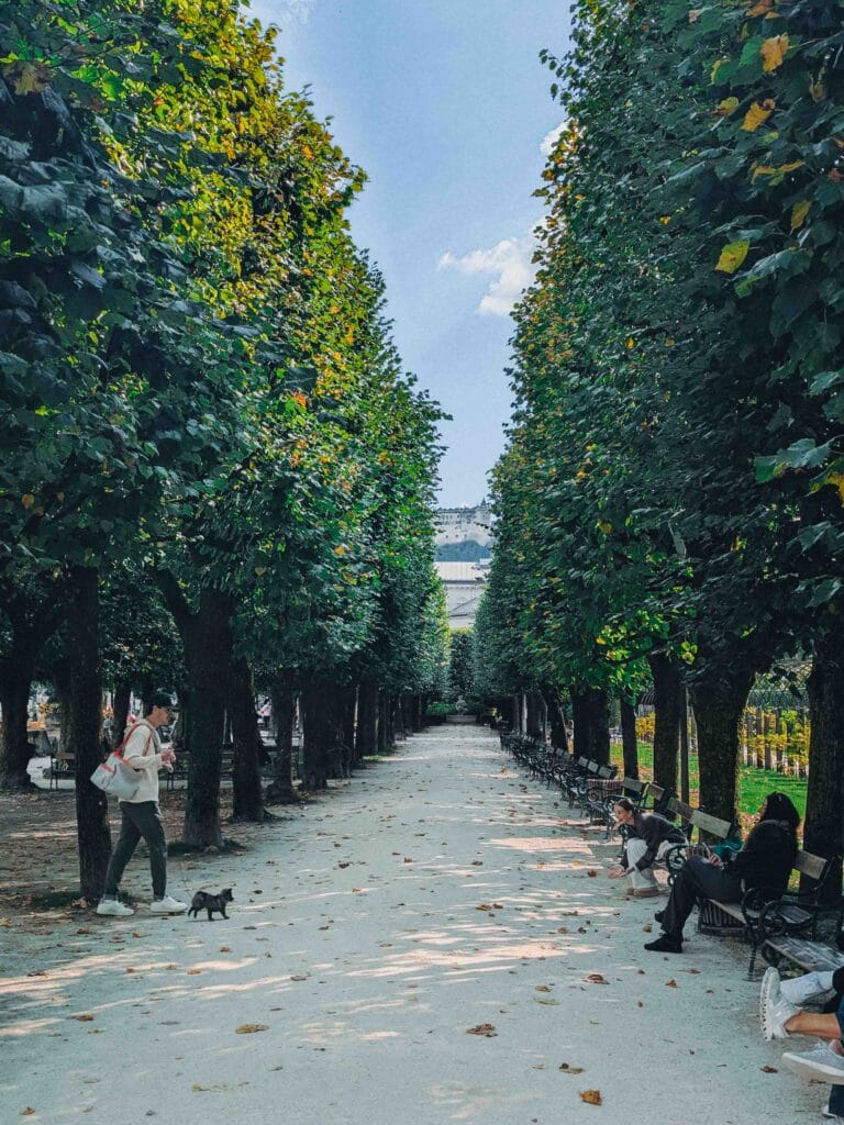 A long, tree-lined gravel alleyway within Mirabell Gardens or Hofgarten, with benches on the right and a person walking a small black dog on the left, leading toward the Salzburg city center.