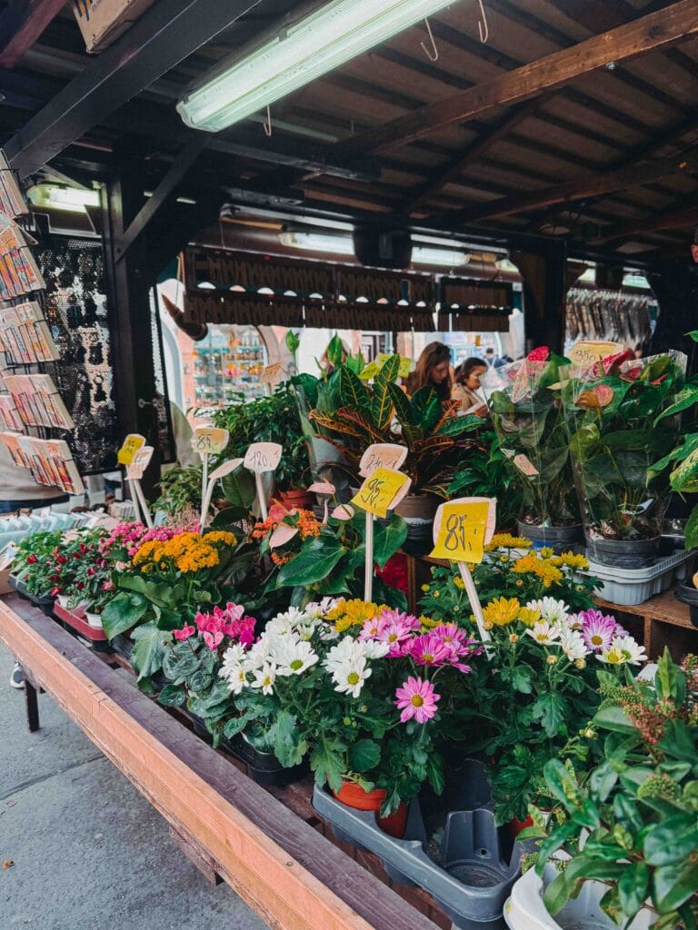 A flower and plant stall at Havel's Market in Prague, featuring potted chrysanthemums, cyclamen, and various houseplants with handwritten price tags.