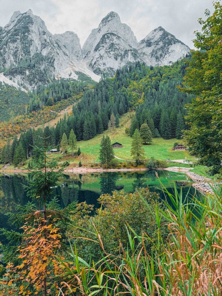 Green-hued Lake Gosausee in Austria, reflecting the forested hills and the rugged, bare rock peaks of the Dachstein mountains.